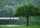 Essential Safety Precautions to be taken during monsoon season