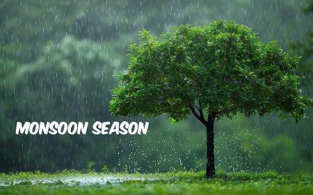 Essential Safety Precautions to be taken during monsoon season