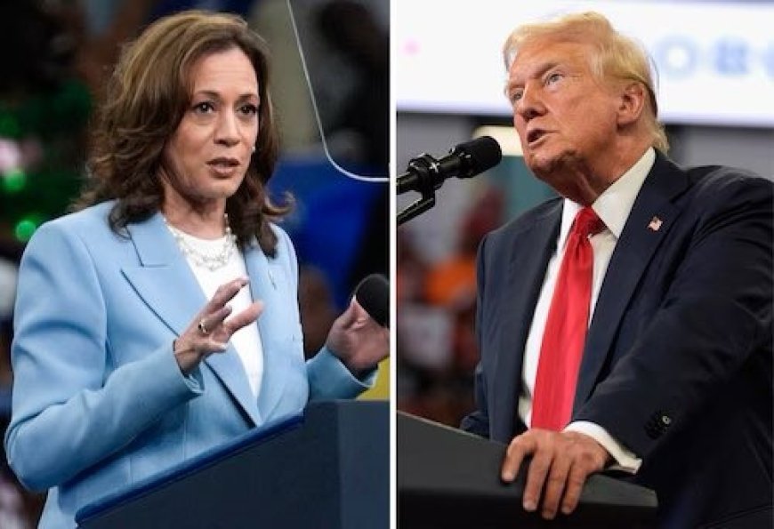 Debate Showdown: Trump Says Yes to Face-Off with Kamala Harris