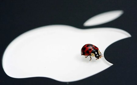 iPhone's Latest Crash Code: A Minor Glitch, No Need for Panic