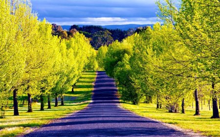 Top Bucket List Places for Every Kind of Traveler