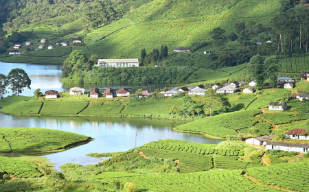 Munnar Travel Guide: Explore Kerala’s Hill Station Gem