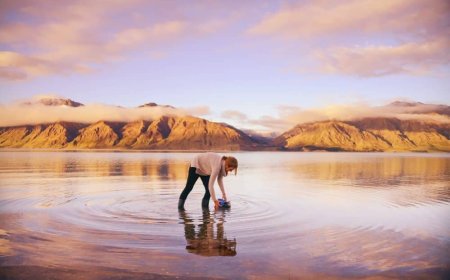 Top Travel Photography Destinations in India for Every Season