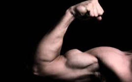 Creatina Optimum Nutrition – Micronized for better mixability and absorption