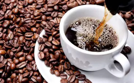 Improves Focus, Metabolism & Liver Health