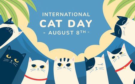 Cat Day – A Special Celebration for Our Furry Friends
