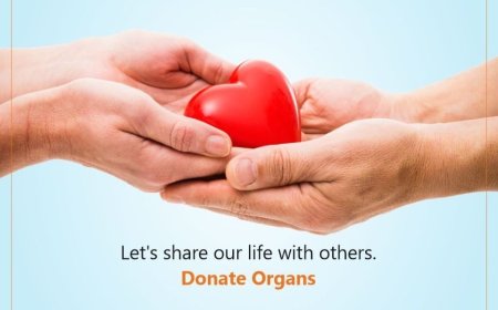 World Organ Donation Day: Honoring the Gift of Life