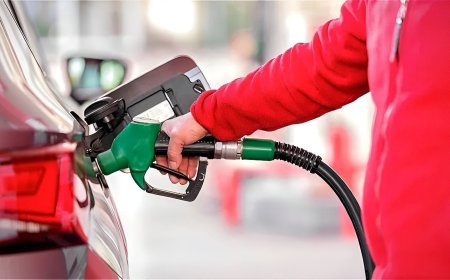 E20 Petrol Faces Backlash as Car Owners Report Mileage Decline – Government Issues Clarification