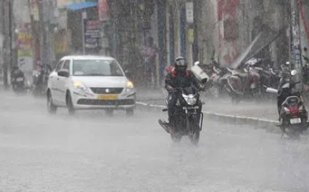 Heavy Rainfall in Andhra Pradesh: IMD Issues Red Alert for 10 Districts on August 18th