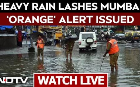 Mumbai Rains Alert | Schools, Colleges Closed as City Faces Waterlogging