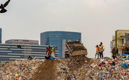 Expats Lead Gurugram Cleanup Amid Civic Neglect