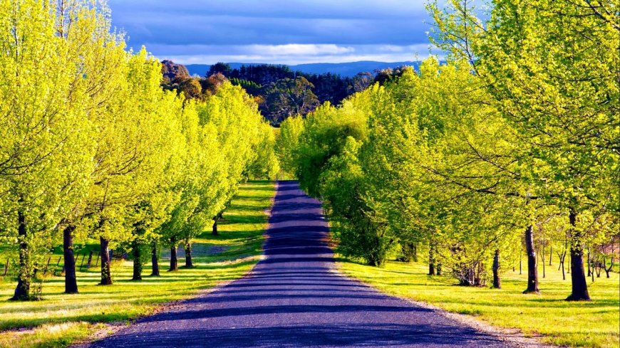 Top Bucket List Places for Every Kind of Traveler
