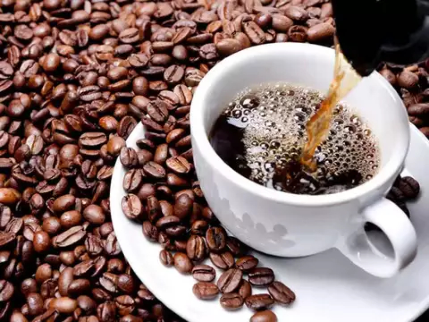 Improves Focus, Metabolism & Liver Health