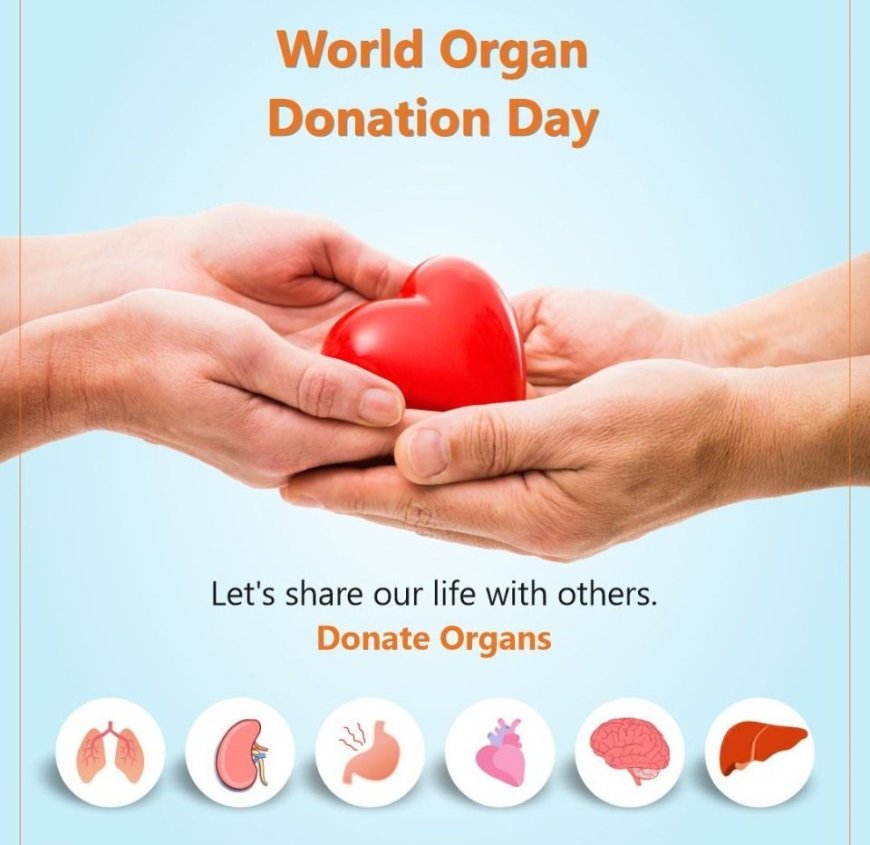 World Organ Donation Day: Honoring the Gift of Life
