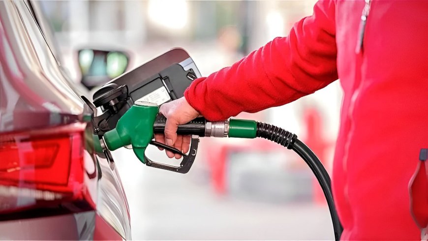 E20 Petrol Faces Backlash as Car Owners Report Mileage Decline – Government Issues Clarification