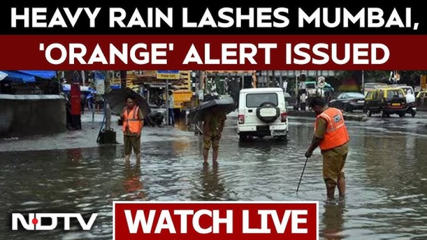 Mumbai Rains Alert | Schools, Colleges Closed as City Faces Waterlogging