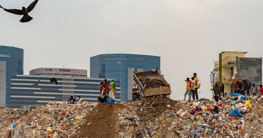 Expats Lead Gurugram Cleanup Amid Civic Neglect