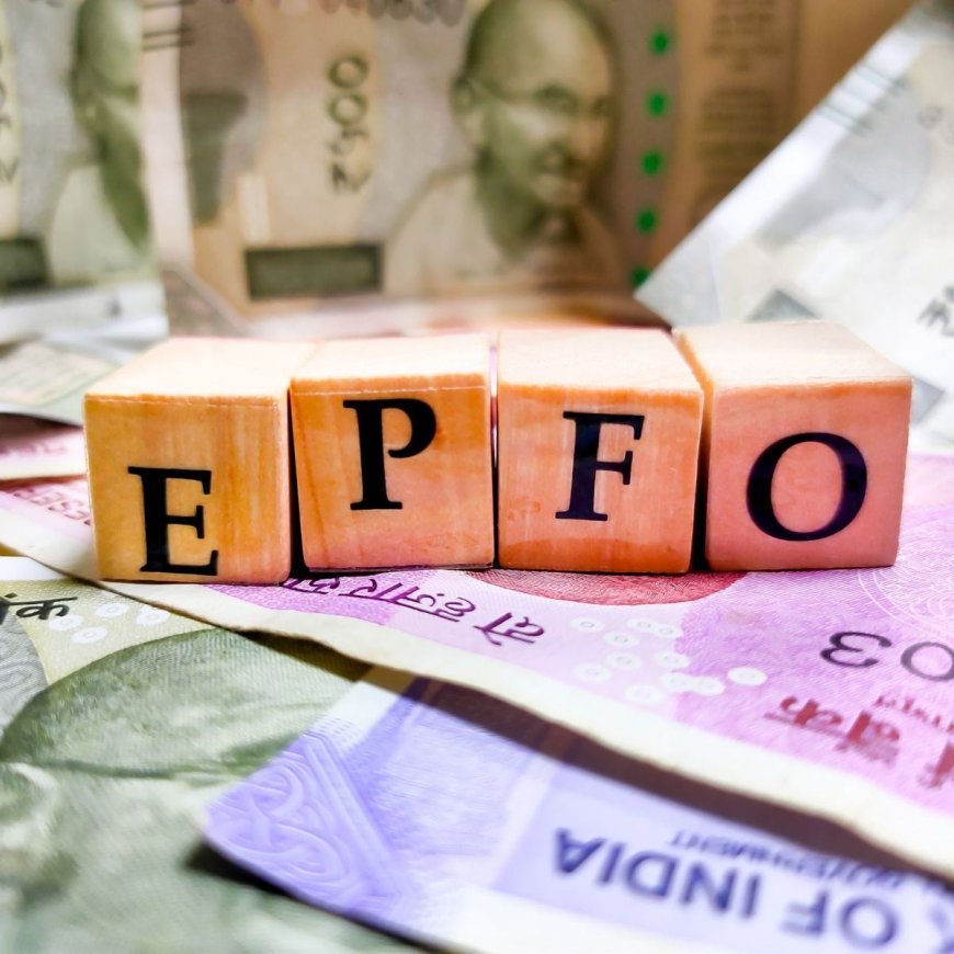 Good News for All EPFO Pensioners! Govt, Private Employees to Get Benefit as Per New Income Tax Bill 2025