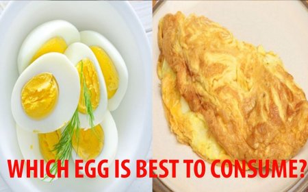 Boiled Egg vs Omelette for Weight Loss: A Gastroenterologist Explains