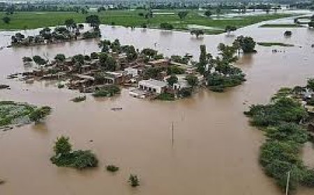 Punjab's Historic Floods Displace 250,000, Demand Urgent Aid