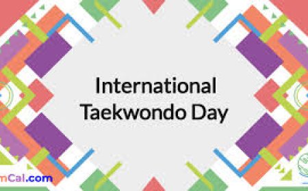 International Taekwondo Day 2025: Celebrating Discipline, Strength, and Global Unit