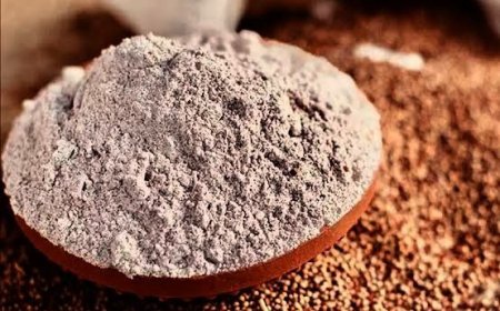 Ragi Malt: A Superfood from Sprouted Ragi Flour to Organic Ragi Powder