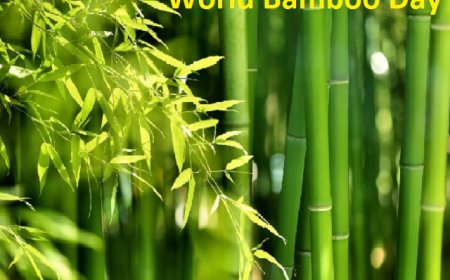 World Bamboo Day: Celebrating the Wonder of Bamboo