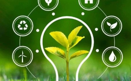 Saatvik Green Energy Ltd  IPO (Saatvik Green Energy IPO) Detail