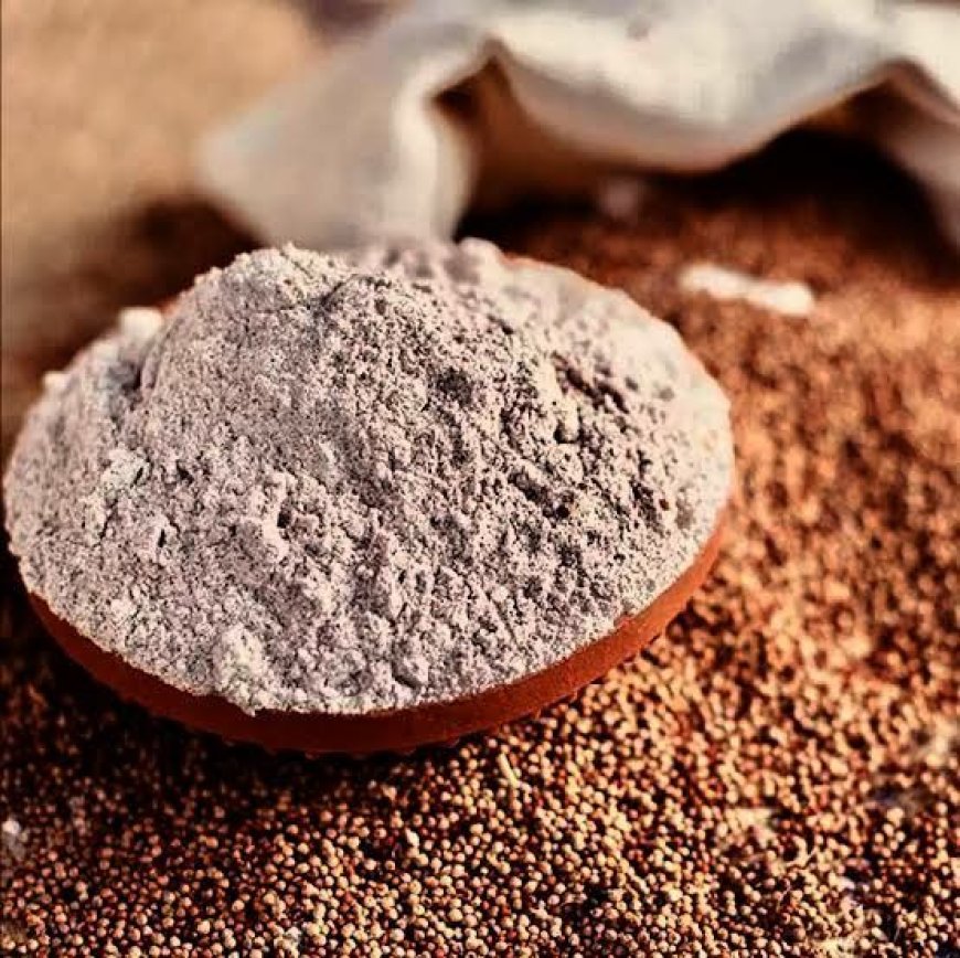 Ragi Malt: A Superfood from Sprouted Ragi Flour to Organic Ragi Powder