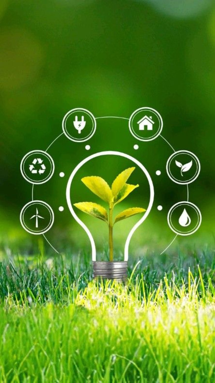 Saatvik Green Energy Ltd  IPO (Saatvik Green Energy IPO) Detail