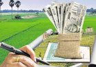 Govt Hikes Land Market Values