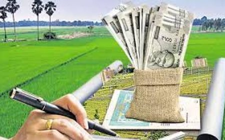 Govt Hikes Land Market Values