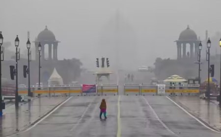 Delhi Rain Likely as Western Disturbance Hits North India