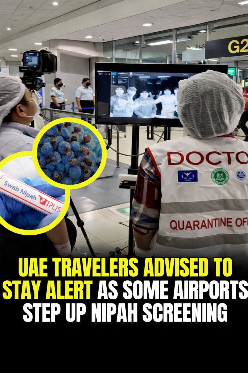Traveling Amid Nipah Scare? UAE Doctors Say No Need to Panic