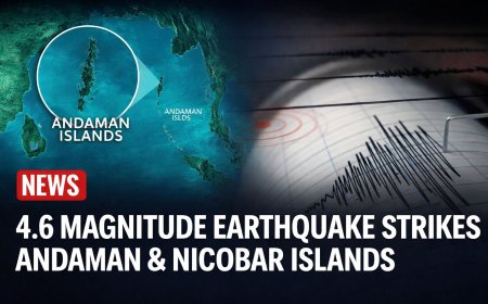 4.6 Magnitude Earthquake Strikes Andaman and Nicobar Islands