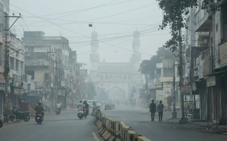 Fog, mist to persist across T.N. as winter conditions extend into mid-February