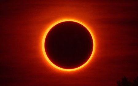 February 17, 2026 Annular Solar Eclipse: Visibility Map