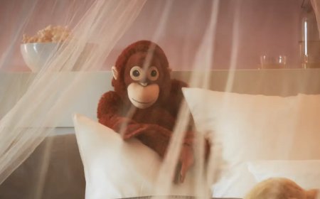 The Punch Effect: Baby Monkey & Toy Go Viral Worldwide