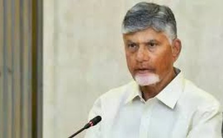 Naidu to Visit Cheepurupalli Today, Distribute Pensions & Attend HPV Drive