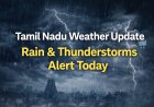 Tamil Nadu Weather News: Thunderstorms and Rain to Hit Key Regions