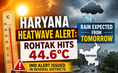 Haryana Heatwave Alert: Rohtak Hits 44.6°C, Rain Expected from Tomorrow