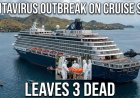Hantavirus Outbreak on Cruise Ship Leaves 3 Dead