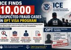 ICE Finds 10,000 Suspected Fraud Cases in OPT Visa Program