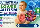 Gut Bacteria May Lower Autism and ADHD Risk in Children