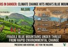 Nilgiris in Danger: Climate Change Hits India’s Blue Mountains