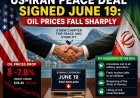 US-Iran Peace Deal Signed June 19: Oil Prices Fall Sharply