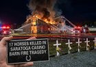 17 Horses Killed in Saratoga Casino Barn Fire Tragedy