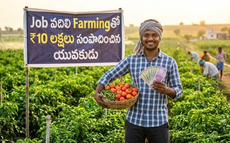 Job వదిలి Farmingతో ₹10 లక్షలు సంపాదించిన యువకుడు