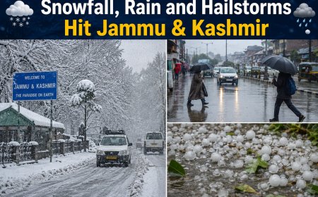 Snowfall, Rain and Hailstorms Hit Jammu & Kashmir